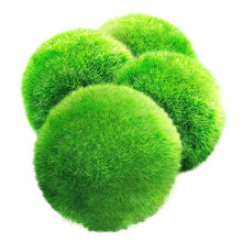 Load image into Gallery viewer, Aquarium Moss Ball Water Grass Shrimp Water Grass Balls - closestconvenience